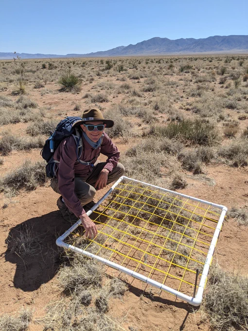 Tim Ohlert assessing desert plant communities