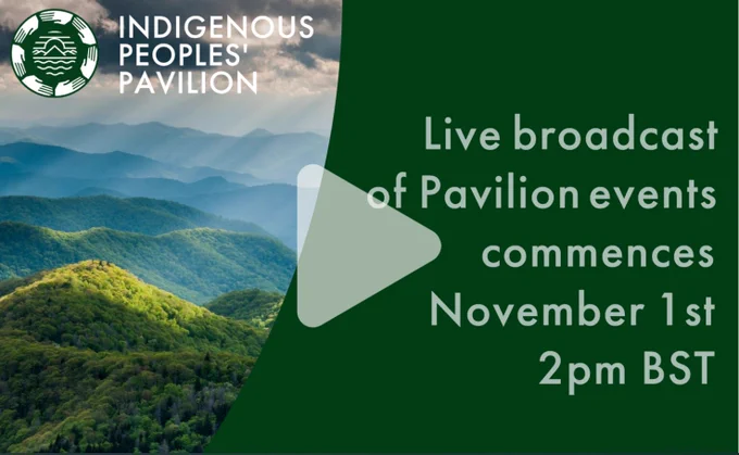 Live broadcast of Pavilion events commences November 1st 2pm BST