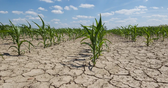 Drought is expected to increase in changing climate