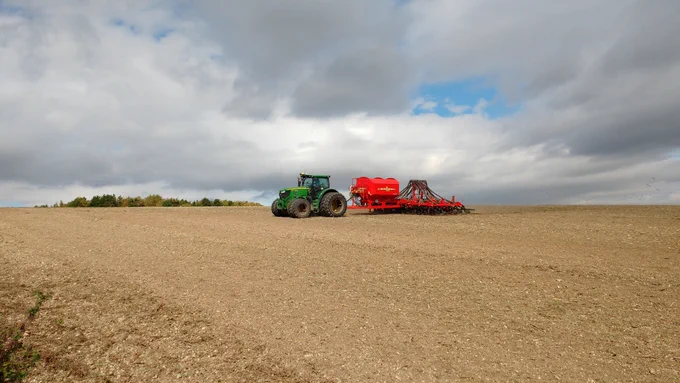 Late drilling of wheat