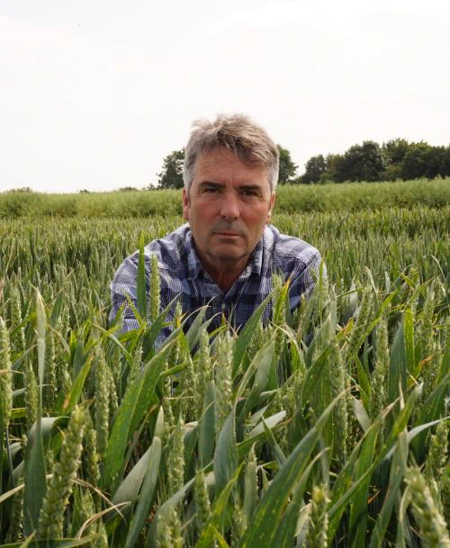 Ron Granger, LG's arable technical manager, knelt in a wheat crop