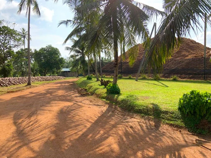 Cocogreen Sri Lanka Coir substrates future hub and raw material sites