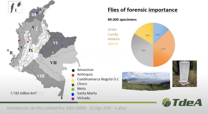 A screen grab from the talk, examining their collection holdings. Many flies of forensic importance... 89,000 specimens!