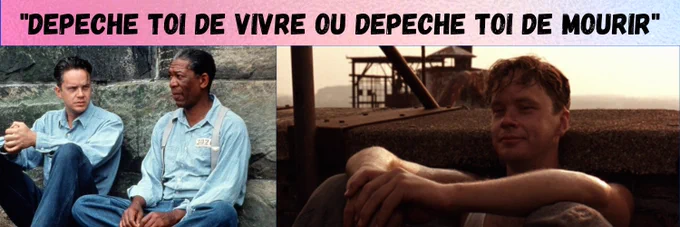 "Depeche toi de vivre ou depeche toi de mourir" Citation dans  le film  "Les évadés" ou "The Shawshank Redemption" de Frank Darabont. 