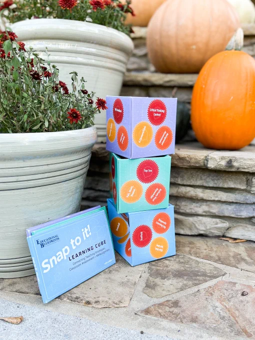 Snap To It Cubes (3) stacked in an outdoor setting with pumpkins and red mums. 