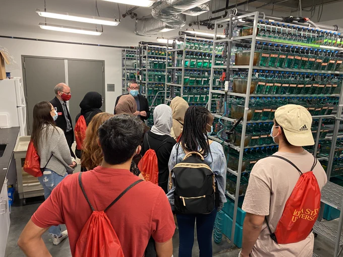 Students face away from the camera as they look at floor to ceiling size shelfs full of turquoise fish tanks. Students wear read Iowa State University bags on their backs.