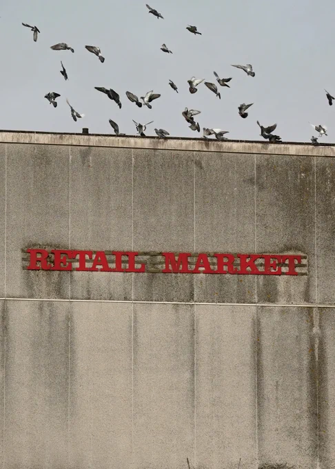 http://scavengedluxury.tumblr.com/post/140993277770