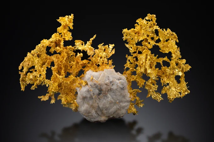 Gold and Quartz placed on a black background.