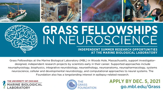 Grass Fellowships in Neuroscience | Independent Summer Research Opportunities at the Marine Biological Laboratory. 

Grass Fellowships at the Marine Biological Laboratory (MBL) in Woods Hole, Massachusetts, support investigator-designed, independent research projects by scientists early in their career. Supported approaches include neurophysiology, biophysics, integrative neurobiology, neuroethology, neuroanatomy, neuropharmacology, systems neuroscience, cellular and developmental neurobiology, and computational approaches to neural systems. The Foundation also has a longstanding interest in epilepsy-related research.

Apply By Dec. 5, 2021
go.mbl.edu/Grass