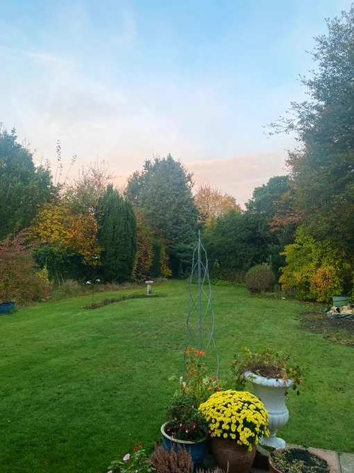 Early morning garden with green abs golden tree leaves.