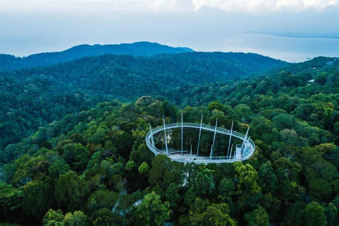 The Curtis Crest Tree Top Walk in The Habitat Penang Hill