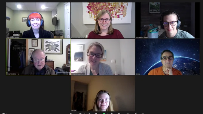 Zoom screen capture of committee