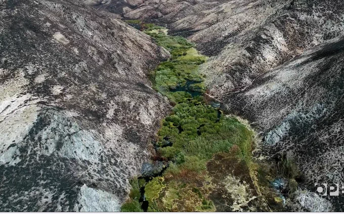Burnt landscape with a strip of green where beavers had spread water.