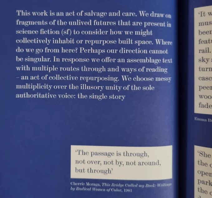 A page from the article, describing the work as an 'act of salvage and care'
