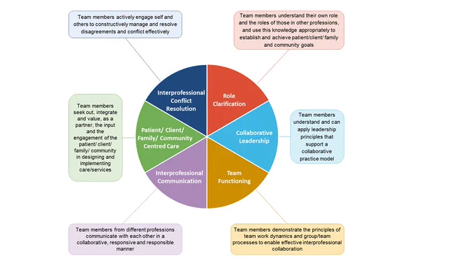 The Interprofessional Collaborator Competency Framework is designed to assist the healthcare team to focus on developing key abilities that research shows maximizes effective collaboration. The Framework describes six domains and within each domain, specific competencies.  