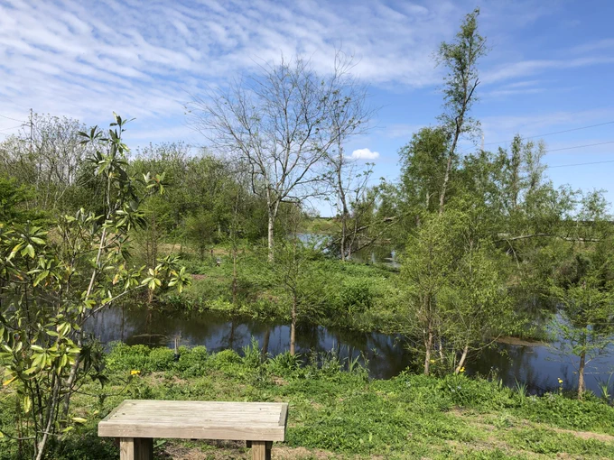 Residents can relax within nature at Sankofa Wetland Park and Nature Trail. Photo courtesy of Sankofa Community Development Corporation.