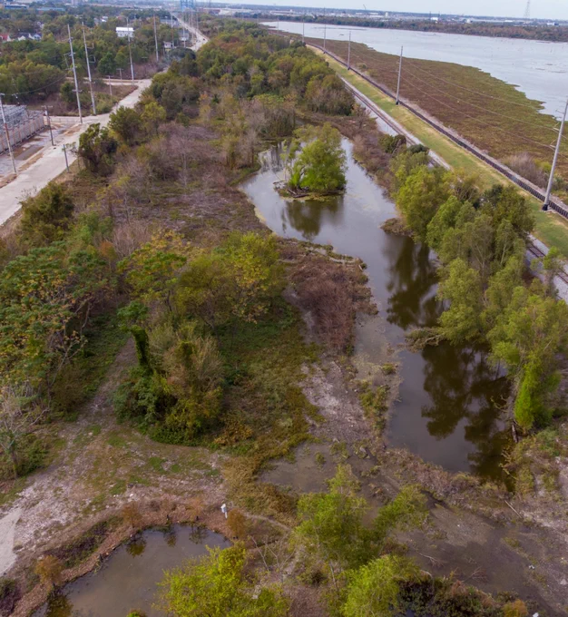Sankofa Wetland Park and Nature Trail is a 40-acre area that has been transformed into a space for environmental education, relaxation and recreation for all to enjoy. Photo courtesy of Sankofa CDC.