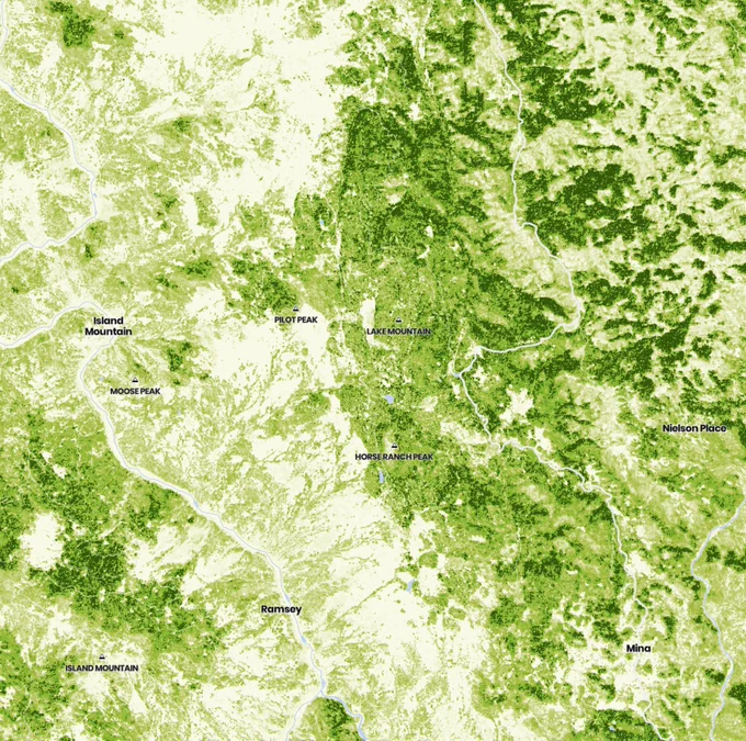 3m resolution tree heights along the Eel River site of the future Eel River Canyon Preserve (former Lone Pine Ranch)