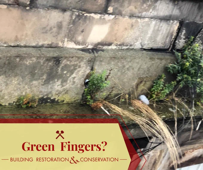 Green Fingers heritage maintenance