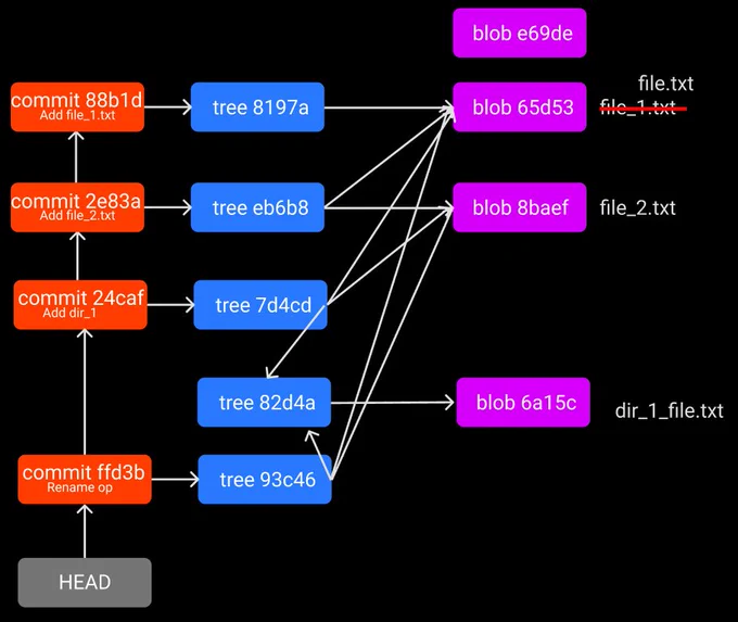 Git's Directed Acyclic Graph connecting Commit, Tree and Blob Objects with the HEAD pointing to the latest commit.