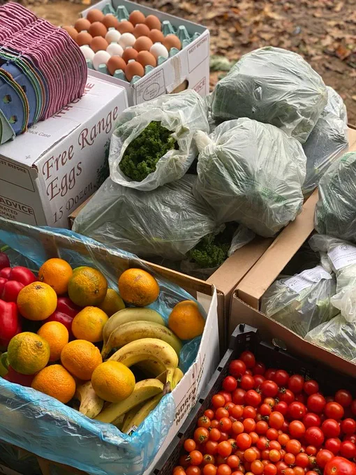 eggs and fruit in crates