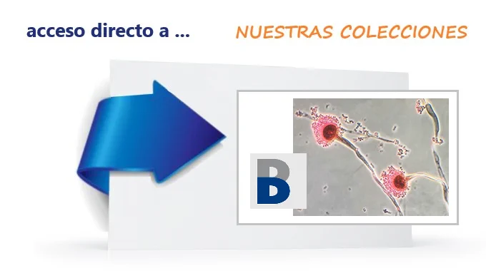 Fichas de agentes biológicos - DATABiO