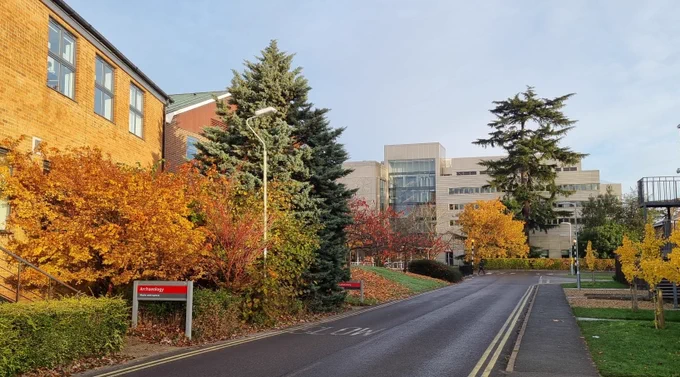 autumnal trees frame a road into the library on whiteknights campus
