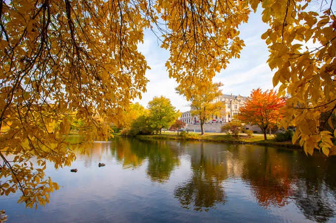 A view of Lake LaVerne and the Memorial Union, framed by golden fall leaves.