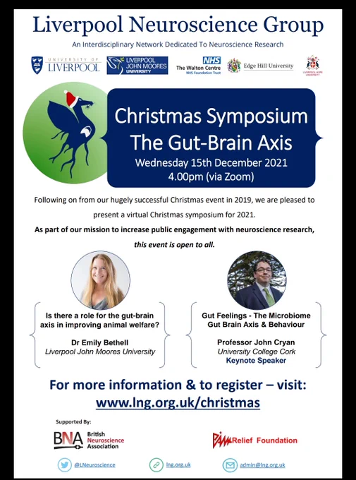 Poster for the Liverpool Neuroscience Group's 2021 Christmas Symposium on 15th December. Full details available (in text) on lng.org.uk/christmas