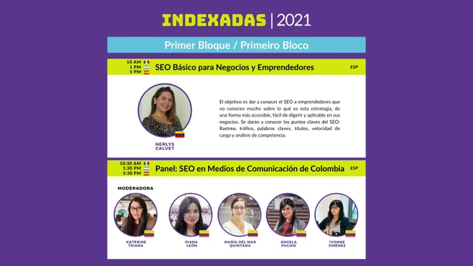 seo básico y panel de seo en medios de comunicación