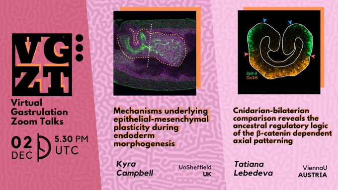 Poster with the details of upcoming VGZT session. To be held on 5.30 PM UTC! Speakers are Dr Kyra Campbell from Sheffield, UK and Tatiana Lebedeva from Vienna, Austria!