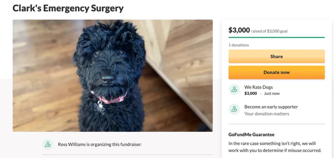 screenshot of Clark’s fully funded GoFundMe campaign