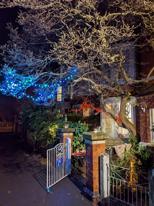 An illuminated front garden in Lincoln's West End