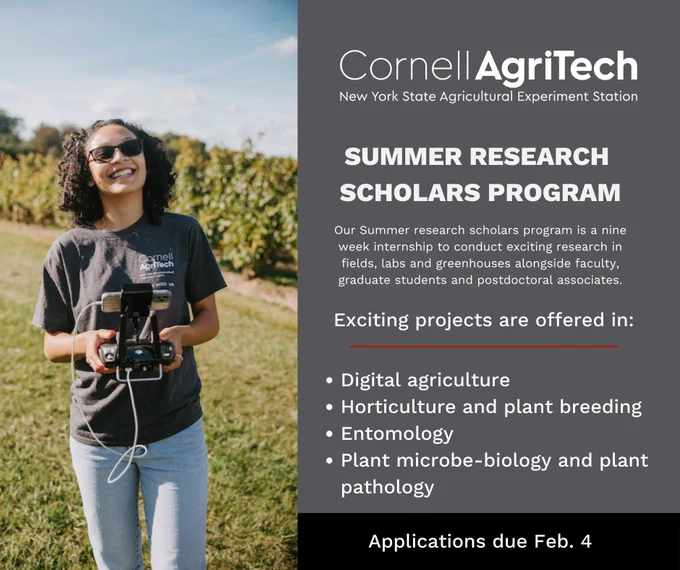Graduate student steers drone in research field.