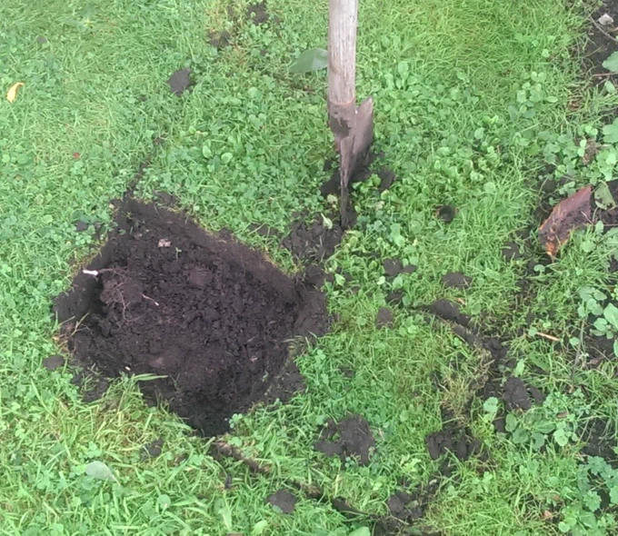 Picture showing pieces of turf still connected to the ground with spade marks separating them.