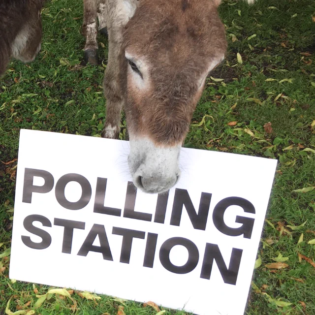 Donkey stood next to a polling station sign