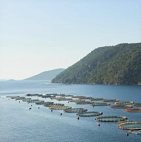 HiSea to Commercially Launch Tool for Providing High-Resolution Information Services at Sea to Ports and Aquaculture