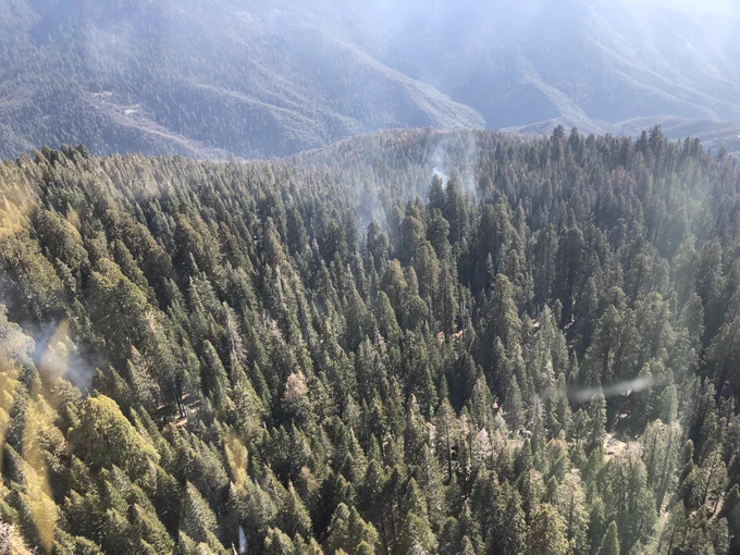 Smoke rises from a mountainside dense with green conifers. 