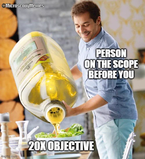 Meme: Guy pouring oversized oil container onto salad
Text on guy: Person on the scope before you
text on salad: 20x objective