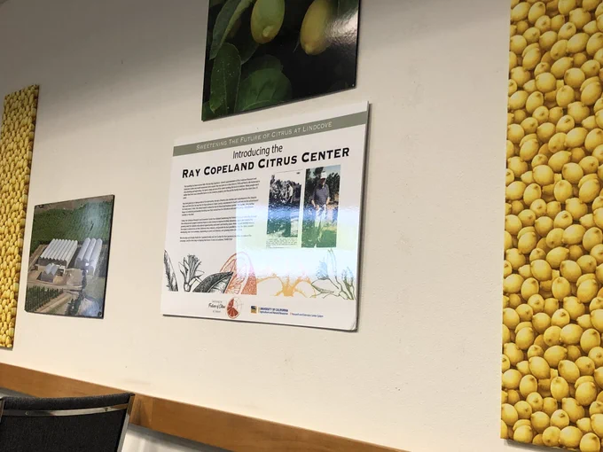 Presentation material on a wall