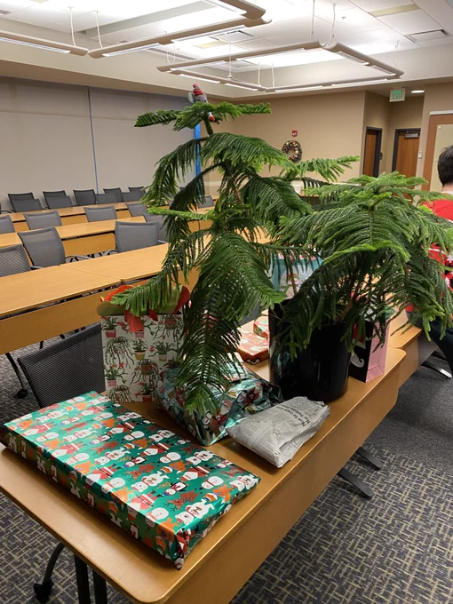 White elephant gifts under the traditional holiday fern (Classic tree topper)
