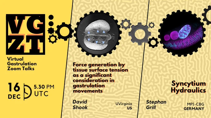 Poster of the event, with pictures of the speakers' research, and the topic. Topic 1 : Force generation by tissue surface tension as a significant consideration in gastrulation movements by Dr David shook. Topic 2 : Syncytium Hydraulics by Dr Stephan Grill. Time : 5.30 PM UTC, 16th Dec.