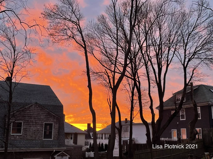 The sun rises over a grouping of houses, illuminating the clouds with a plume of of orange. Six skinny bare trees rise in front of the scene.