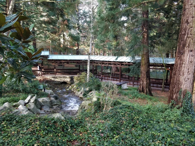 Photo prise au Sequoia Lodge