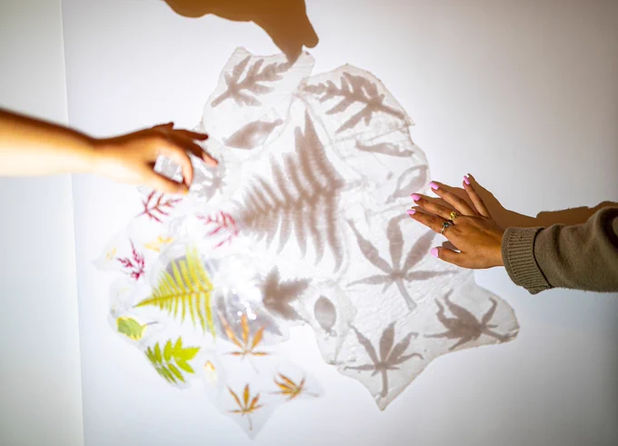 Images shows two hands touching materials in leaf-like shapes on a white overhead projector.
