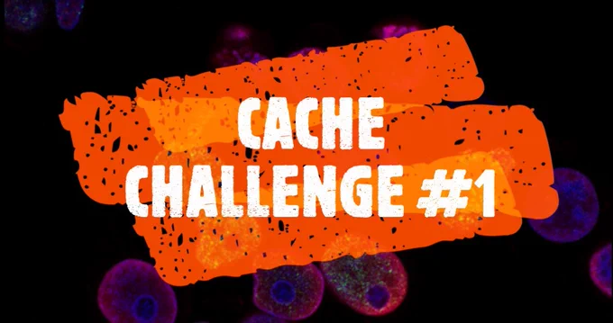 Cache Challenge