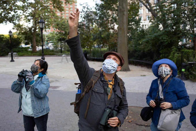 three people birding at an urban park wearing masks and binoculars