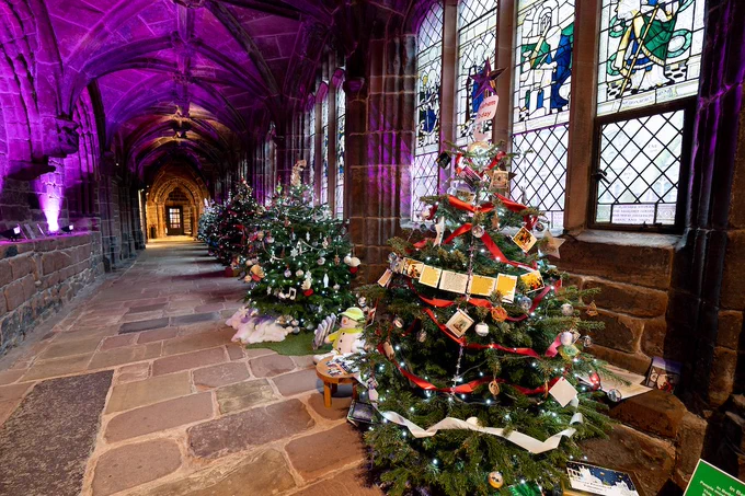 Christmas trees at Chester Cathedral