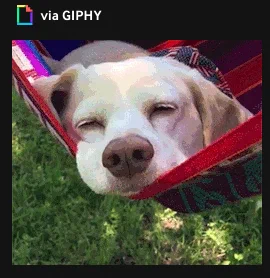 Red black hammock with golden lab nose first in foreground and green grass below