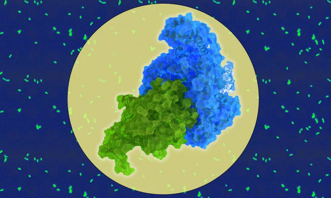 Two protein structures interacting in the foreground, each shown in a different colour. The background shows small green dots marking bacteria.